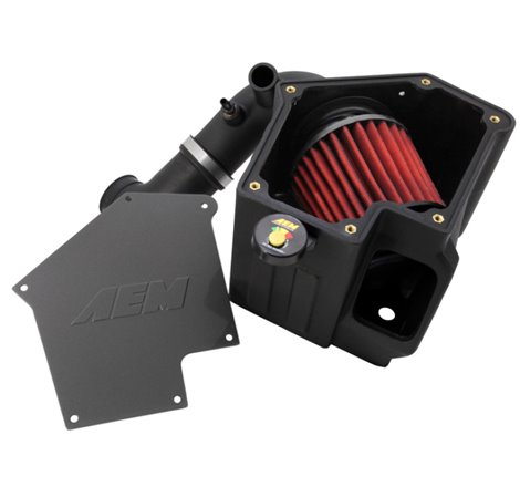 AEM 09-11 Mitsubishi Lancer Ralliart 2.0L L4 Cold Air Intake