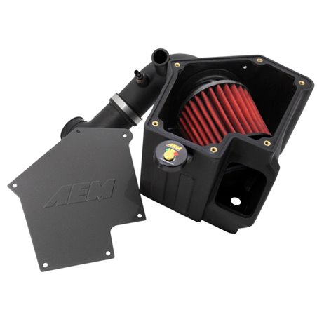 AEM 09-11 Mitsubishi Lancer Ralliart 2.0L L4 Cold Air Intake