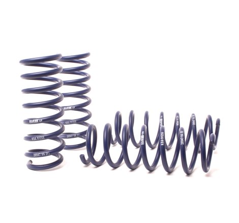 H&R 11-16 BMW 528i xDrive/535i xDrive F10 Sport Spring