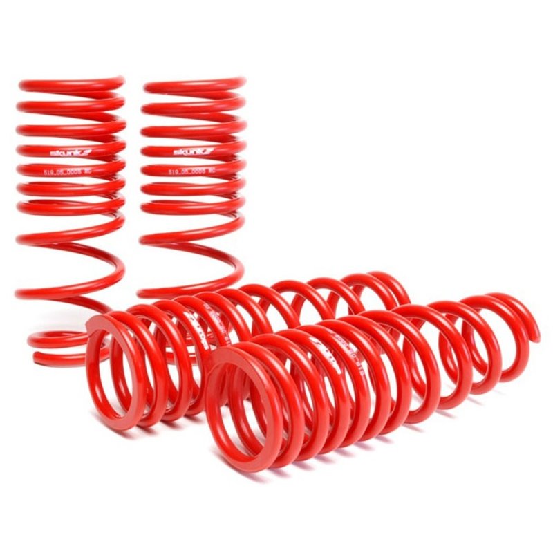 Skunk2 92-95 Honda Civic/Del Sol Lowering Springs (2.50in - 2.25in.) (Set of 4)