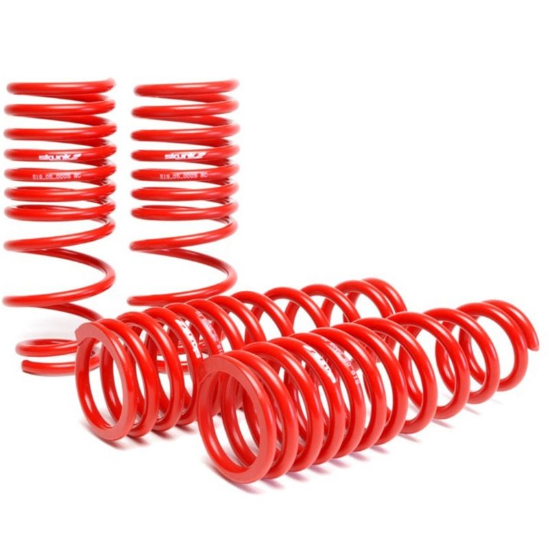 Skunk2 94-01 Acura Integra Lowering Springs (2.50in - 2.25in.) (Set of 4)