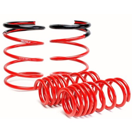 Skunk2 02-04 Acura RSX Lowering Springs (2.25in - 2.00in.) (Set of 4)