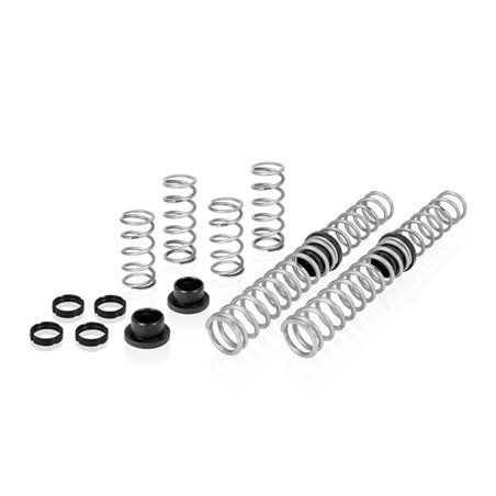 Eibach Pro-UTV 2019 Honda Talon 1000R Stage 2 Performance Springs For OE Fox Shocks