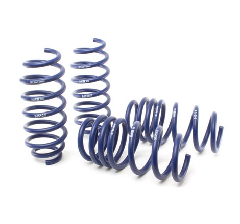 H&R 17-19 Tesla Model 3 Long Range (RWD) Sport Spring (Non Air Susp.)