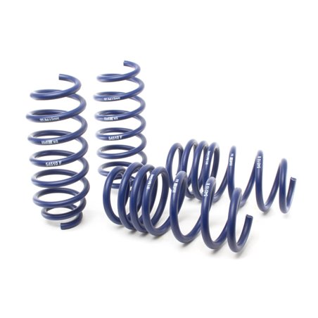 H&R 17-19 Tesla Model 3 Long Range (RWD) Sport Spring (Non Air Susp.)