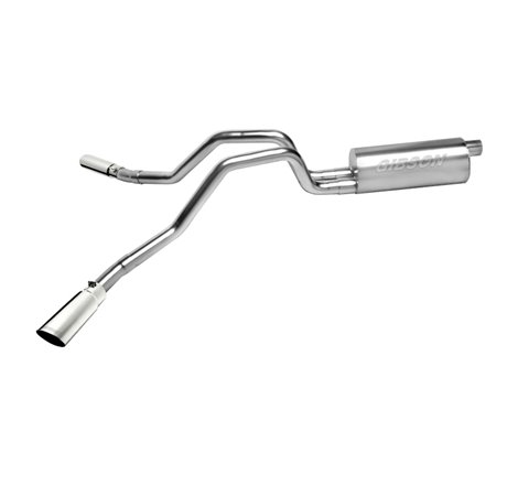 Gibson 09-10 Ford F-150 FX4 5.4L 2.5in Cat-Back Dual Extreme Exhaust - Stainless