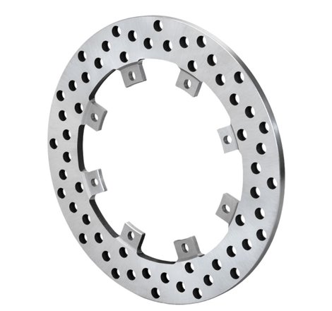 Wilwood Super Alloy Drilled Rotor - 8x7.00in