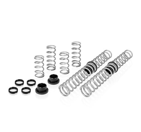 Eibach Pro-UTV 2019 Polaris RZR Turbo S Velocity Stage 3 Performance Springs