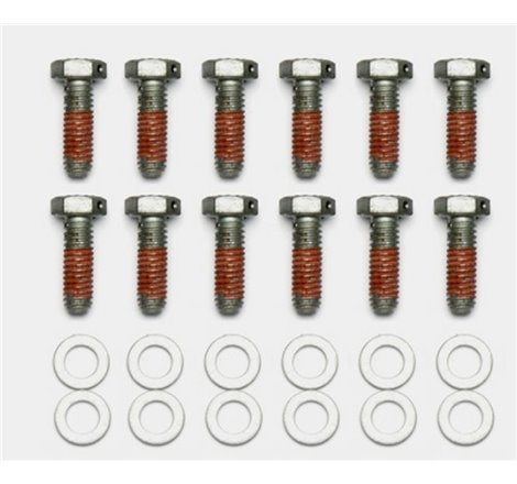 Wilwood Bolt Kit - 5/16-18 x 1.00 LG - 12 pk