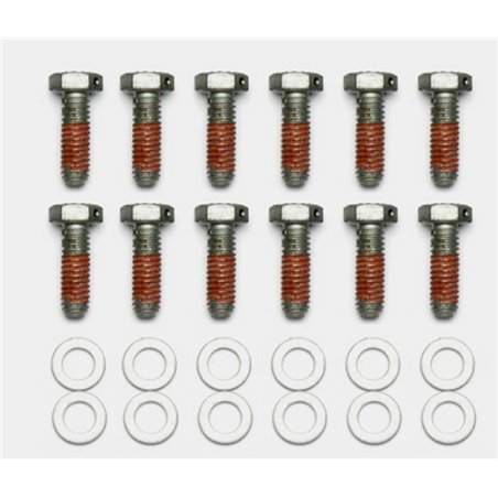 Wilwood Bolt Kit - 5/16-18 x 1.00 LG - 12 pk