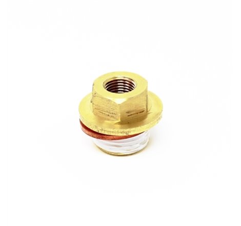 Torque Solution Oil Galley Plug: Subaru EJ20/EJ25 M18-1.5 to 1/8NPT Adapter