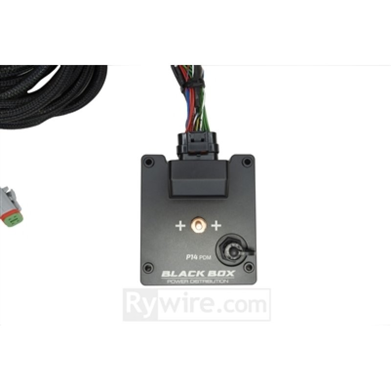 Rywire P14 PDM Honda Chassis Harness Kit (Drop Ship Only Note PO w/Model for Head/Taillight Adaptor)