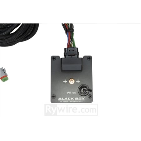 Rywire P14 PDM Honda Chassis Harness Kit (Drop Ship Only Note PO w/Model for Head/Taillight Adaptor)