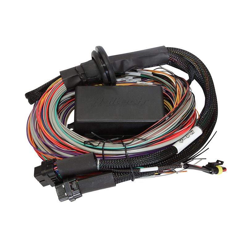 Haltech Elite 1500 8ft Premium Universal Wire-In Harness