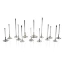 Ferrea Honda B17A1/B18C1/C3 33mm 5.47mm 25 Deg S-Flo Stock Comp Plus Intake Valve - Set of 8