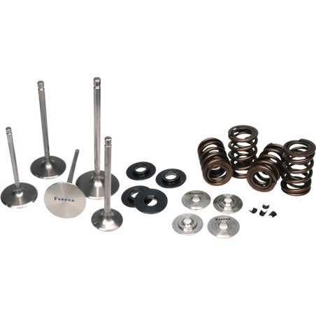 Ferrea 06-08 Audi 2.0L FSI Single Spring Kit