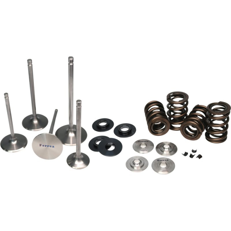 Ferrea BMW N54 Single Spring Kit