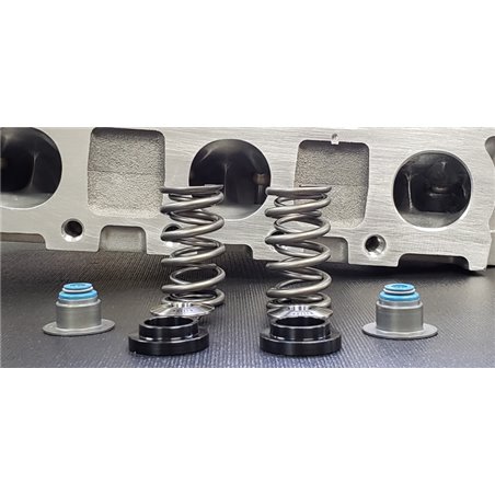 Ferrea Ford Voodoo 5.2L Pac Enhanced Dual Spring Kit