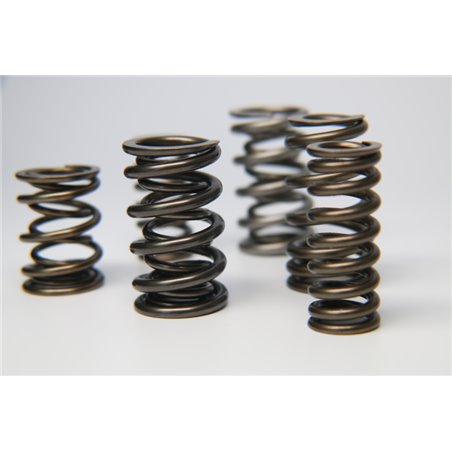 Ferrea 1.600in to 1.650in Dia 1.080/1.625 OD 0.767/1.189 ID Dual w/Damper Valve Spring - Set of 16