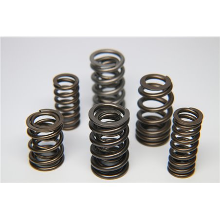 Ferrea 1.600in to 1.650in Dia 1.064/1.624 OD 0.760/1.164 ID Dual w/Damper Valve Spring - Set of 16