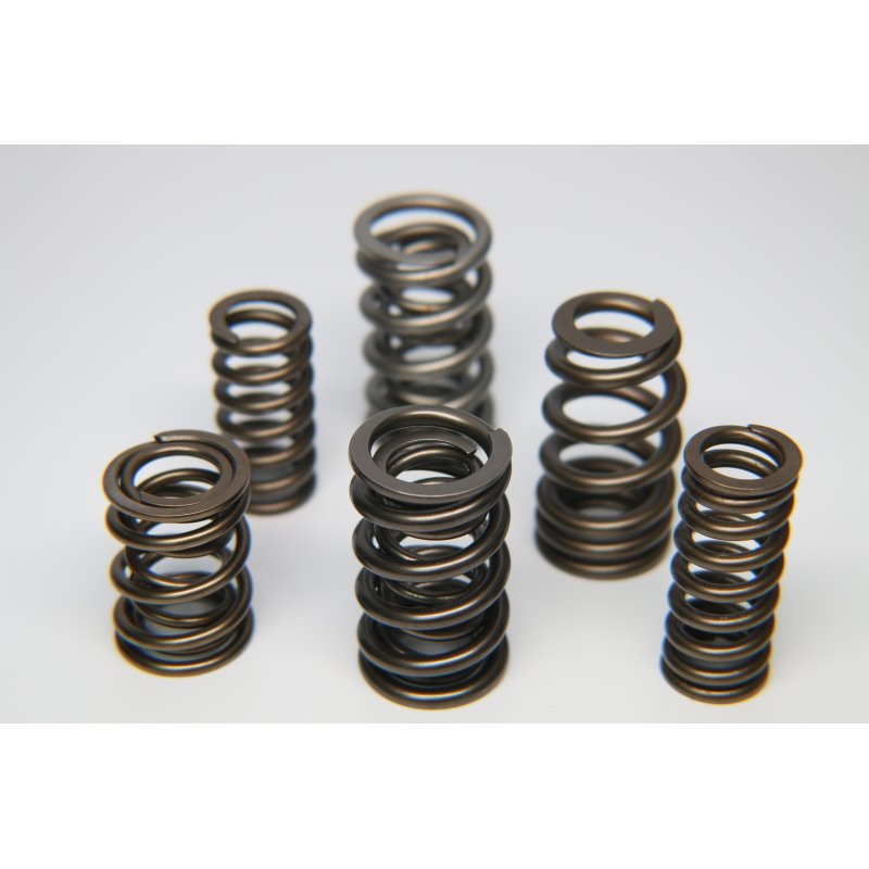 Ferrea 1.225in to 1.570in Dia 1.005/1.43 OD 0.73/1.07 ID Dual w/Damper Valve Spring - Single