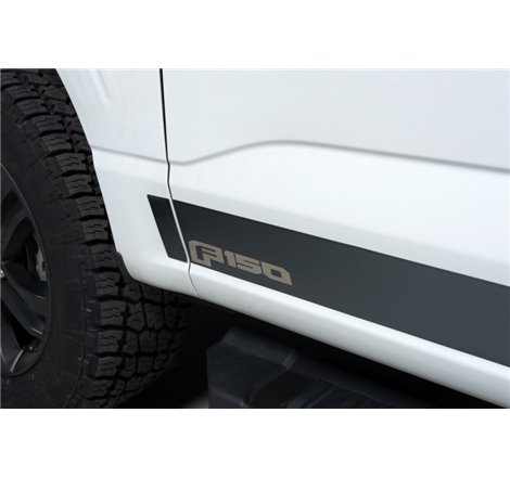 Putco 2021 Ford F-150 Reg Cab 6.5ft Short Box Ford Licensed Blk Platinum Rocker Panels (4.25in 10pc)