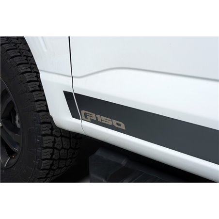 Putco 2021 Ford F-150 Reg Cab 8ft Long Box Ford Licensed Blk Platinum Rocker Panels (4.25in 10pc)