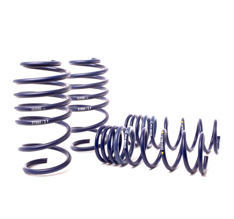 H&R 14-19 Ford Focus ST Sport Spring