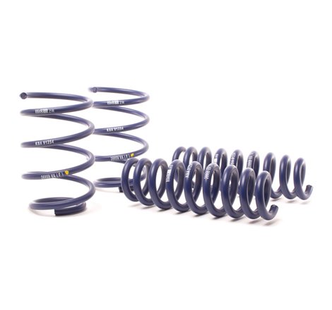 H&R 13-15 BMW X1 sDrive28i E84 Sport Spring (2WD Only)