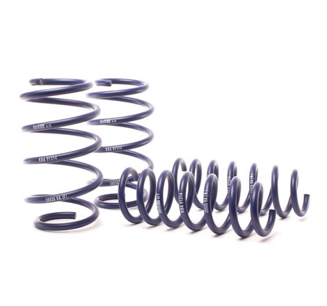 H&R 11-17 BMW X3 F25 Sport Spring