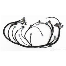 Rywire 92-95 Honda Civic w/B-Series / 94-01 Acura Integra (LHD Only) OEM Replacement Engine Harness