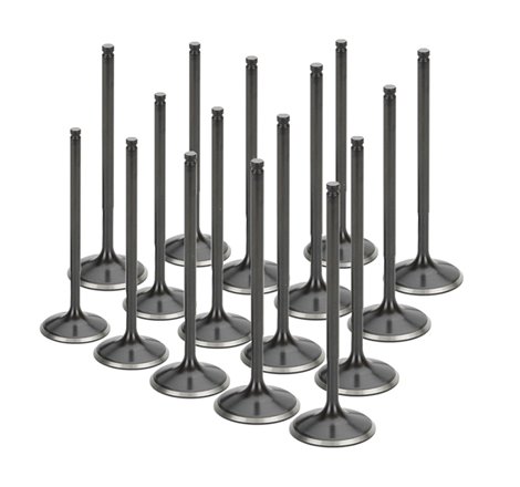 Supertech Nissan VK56DE Black Nitrided Intake Valve - +1mm Oversize - Set of 16