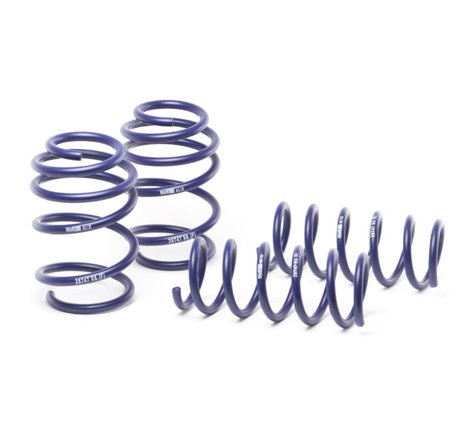 H&R 16-19 Ford Focus RS Sport Spring