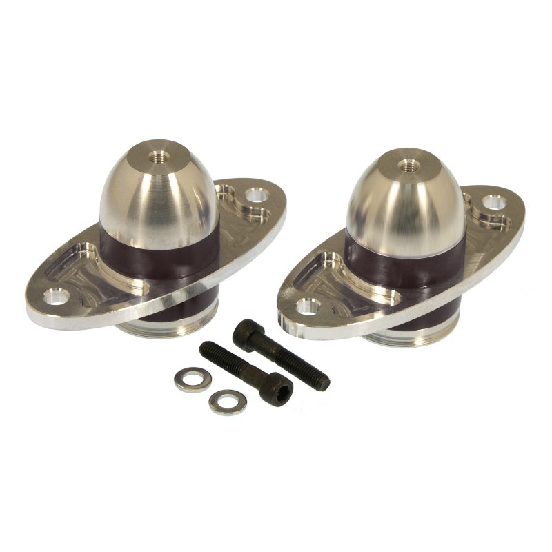 Prothane 05-06 Ford Mustang Bullet Motor Mounts - Black