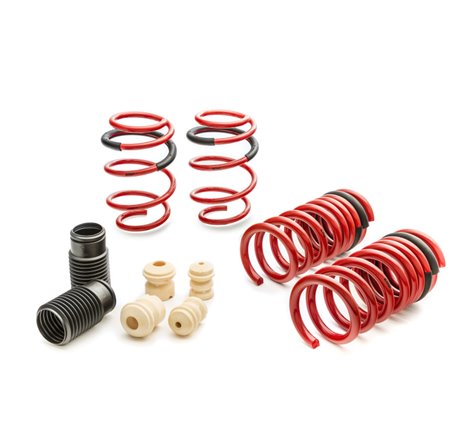 Eibach Sportline Kit for 2015 Mustang GT 5.0L V8