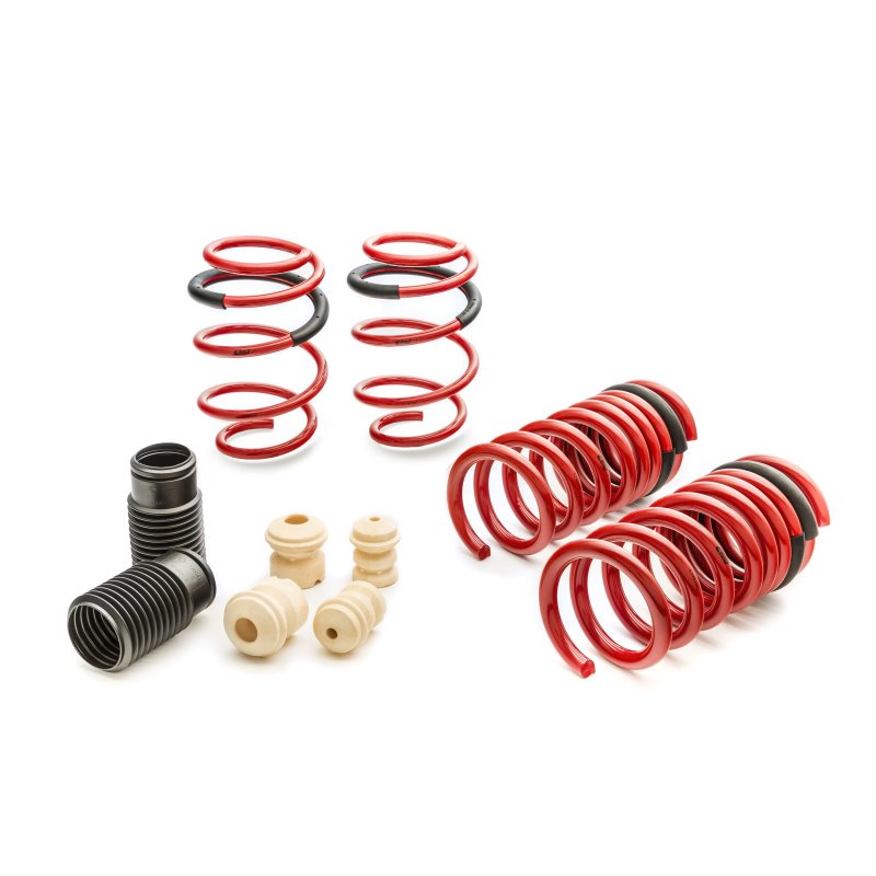 Eibach Sportline Kit for 2015 Mustang GT 5.0L V8