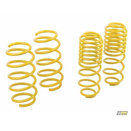 mountune Sport Spring Set 2014-2015 Fiesta ST