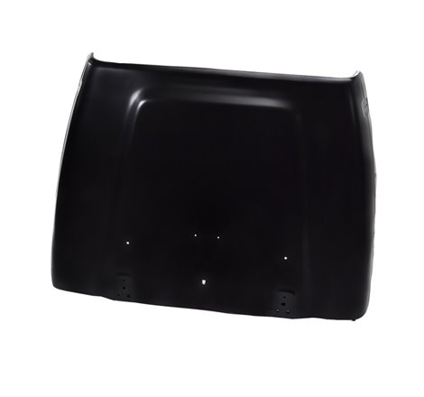 Omix Hood- 00-06 Jeep Wrangler