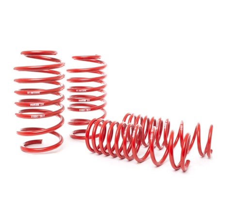 H&R 14-19 Ford Focus ST Race Springs Kit - 1.7in Front / 1.6in Rear