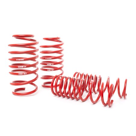 H&R 14-19 Ford Focus ST Race Springs Kit - 1.7in Front / 1.6in Rear