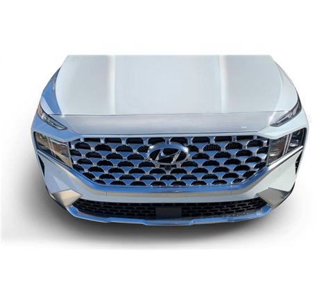 AVS 21-22 Hyundai Santa Fe Aeroskin Low Profile Hood Shield - Chrome