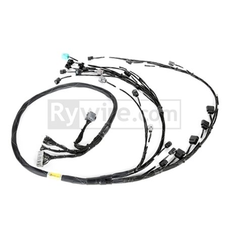 Rywire Honda K24 Tucked Eng Harn w/02-04 K24 Crank/Knock Sensor (D/S Only / Add VSS Position on PO)