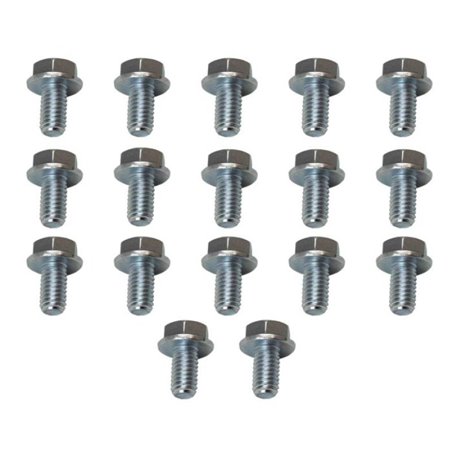 Moroso 4L60/4L60E/200R4/700R4 Transmission Pan Bolts - Set of 17