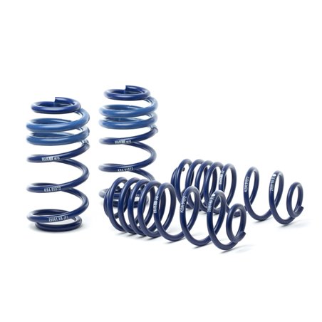 H&R 08-15 Audi A5/A5 Quattro/S5 (2WD/AWD) B8 OE Sport Spring