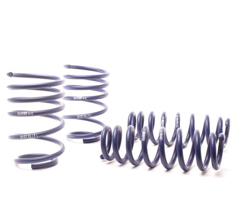 H&R 07-11 BMW 328i Sedan/335i Sedan E90 Race Spring