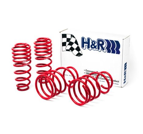 H&R 05-09 Ford Mustang/Convertible/GT/Shelby GT/Shelby GT-H V6/V8 Race Spring