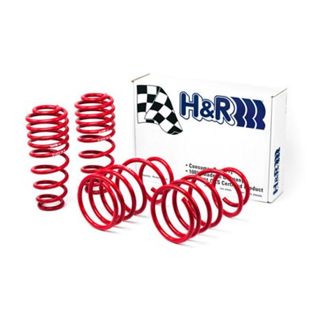 H&R 05-09 Ford Mustang/Convertible/GT/Shelby GT/Shelby GT-H V6/V8 Race Spring