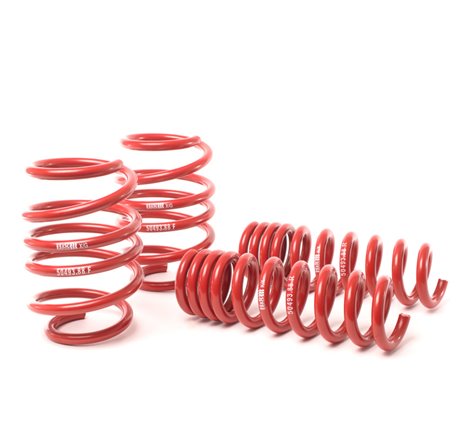 H&R 08-13 BMW M3 Coupe/M3 Sedan E92 Race Spring