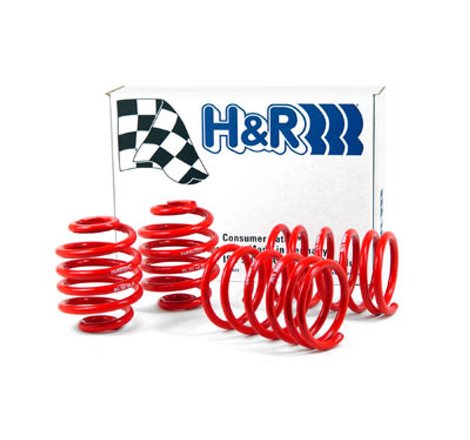 H&R 85-91 BMW 325e/325i/325is E30 Race Spring (Non Cabrio/Tuner Fitment)