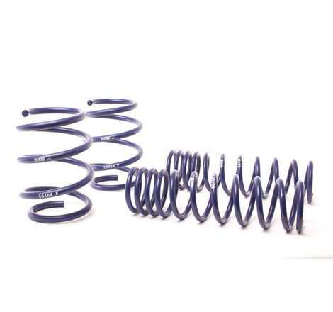 H&R 96-03 BMW 540i E39 Race Spring (Non Touring & w/o Sport Susp.)